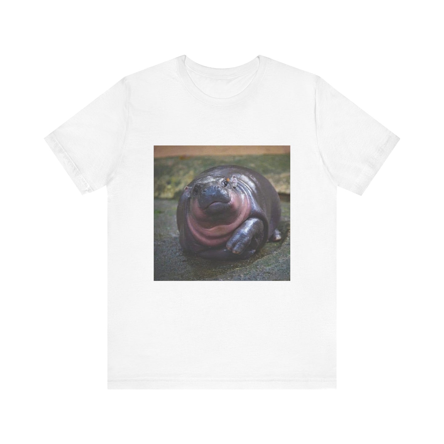 pigmy hippo