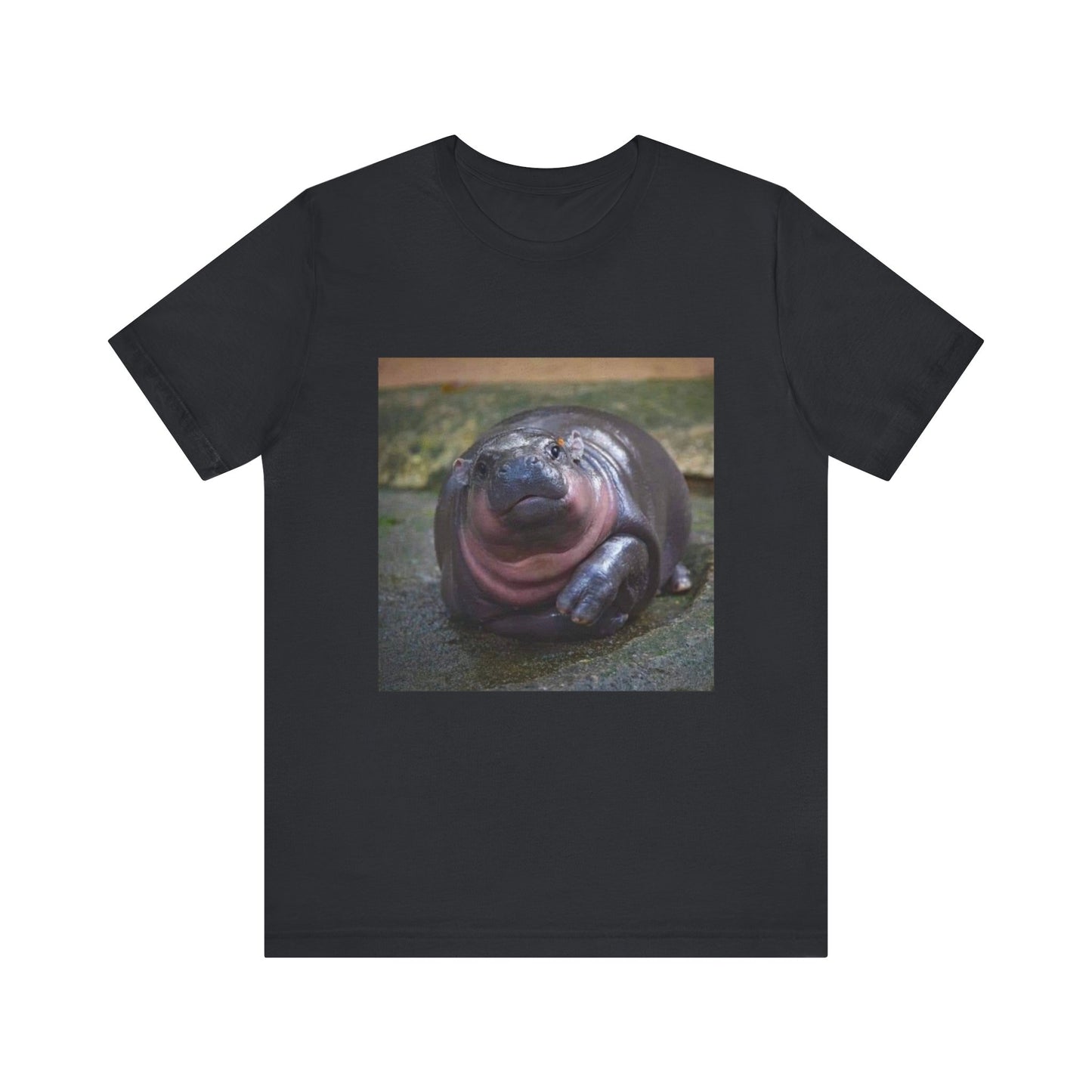 pigmy hippo