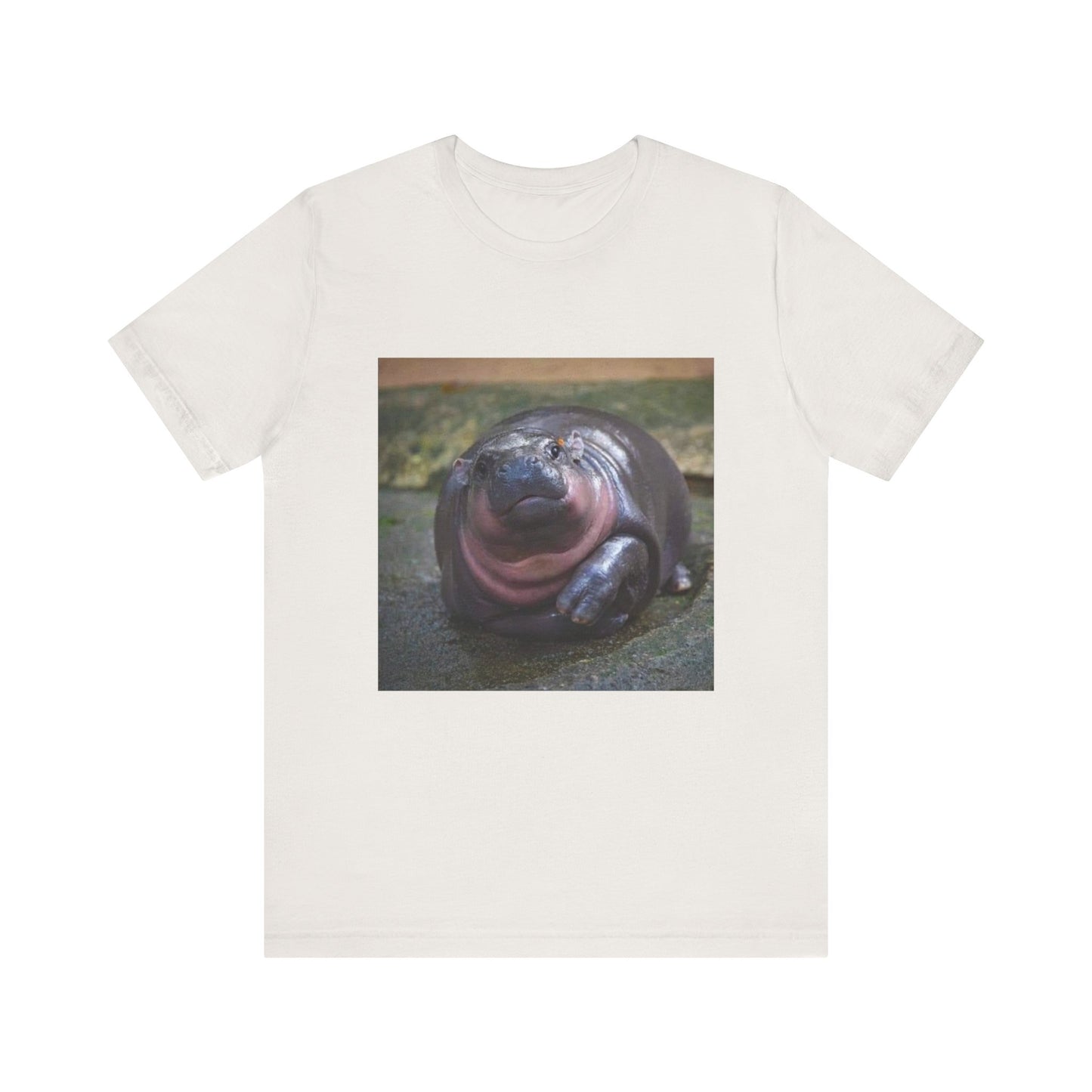 pigmy hippo