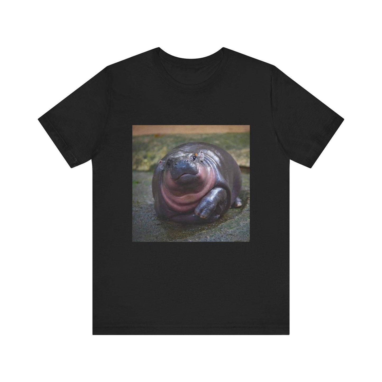 pigmy hippo